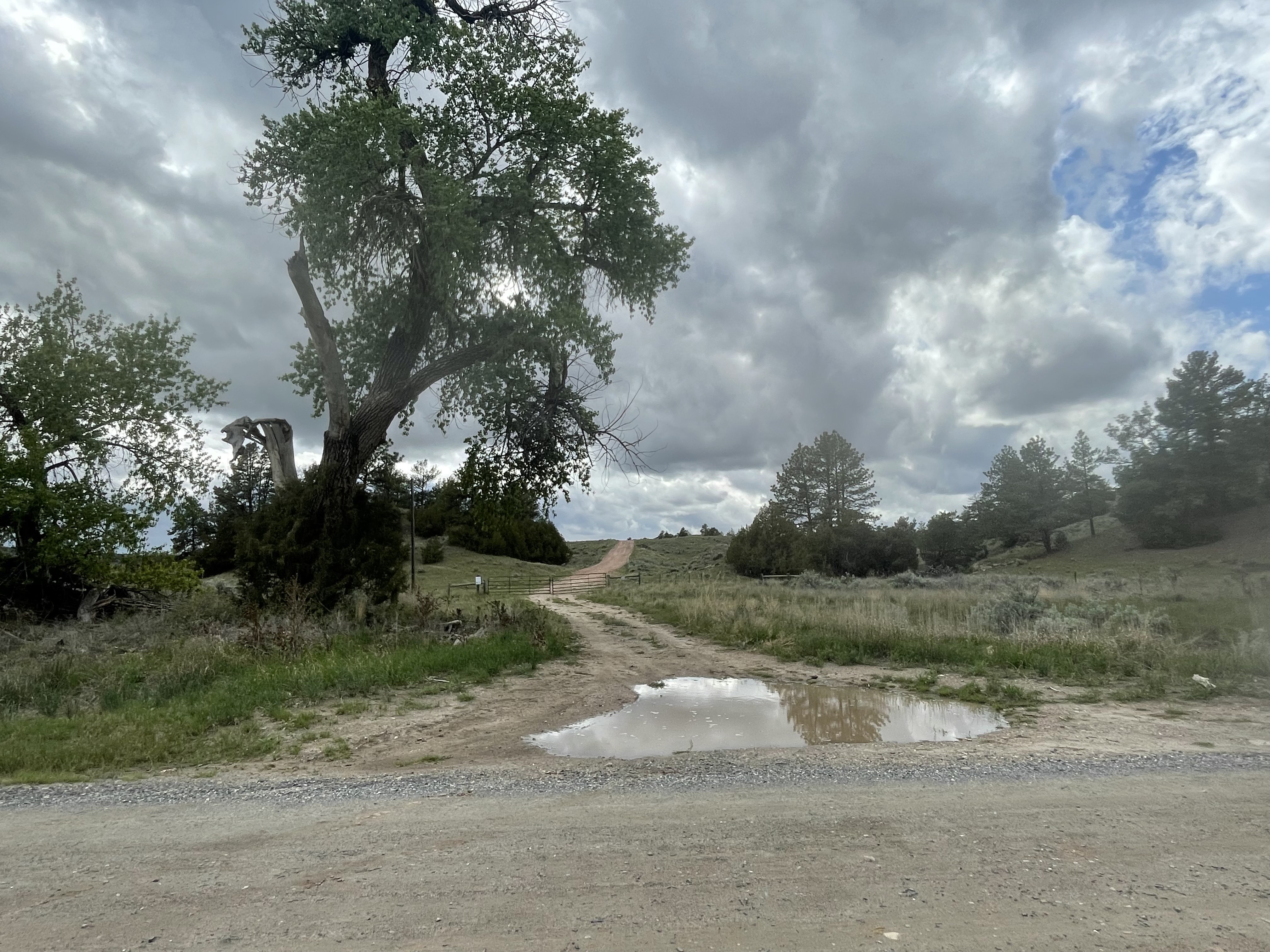 Gate to Warm Springs